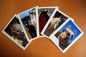 Pegasus Stationery Picture Cards